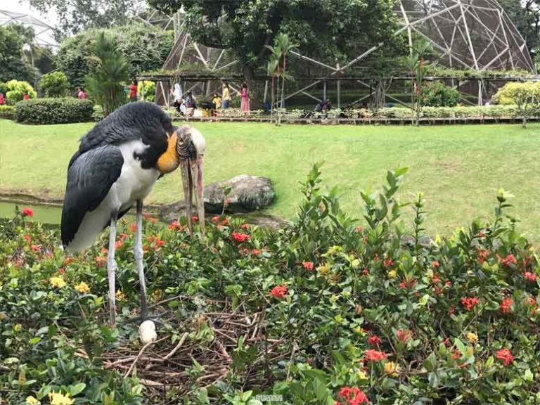 Tempat Eksotis Di Indonesia Ini Cocok untuk Belajar Wildlife